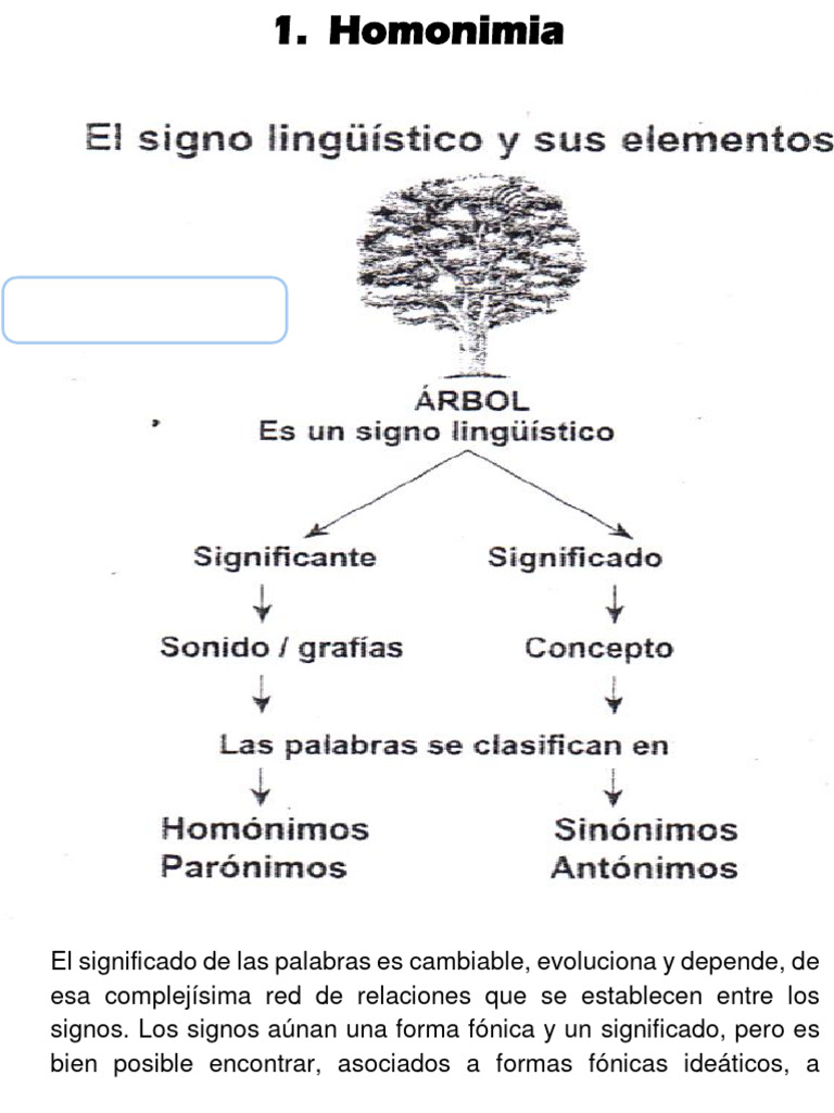 Homonimia y Paronimia en el Lenguaje | PDF | Palabra | Lingüística