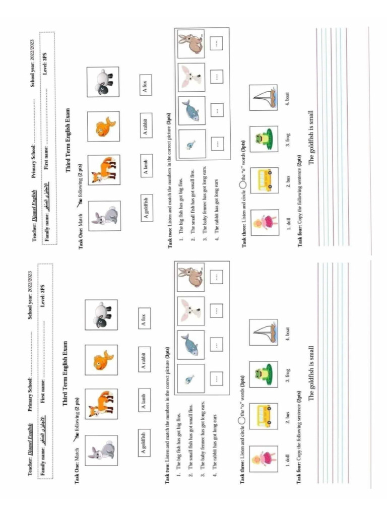 Final Exam 3 | PDF