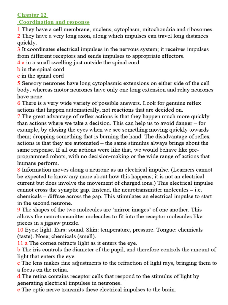 Coordination and Response in Biology | PDF | Neuron | Action Potential