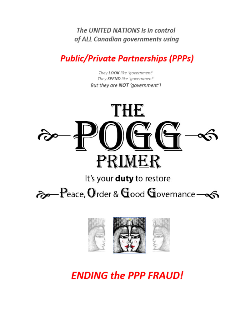 Pogg Primer Oct2023 Final | PDF | Sustainability | Public–Private ...