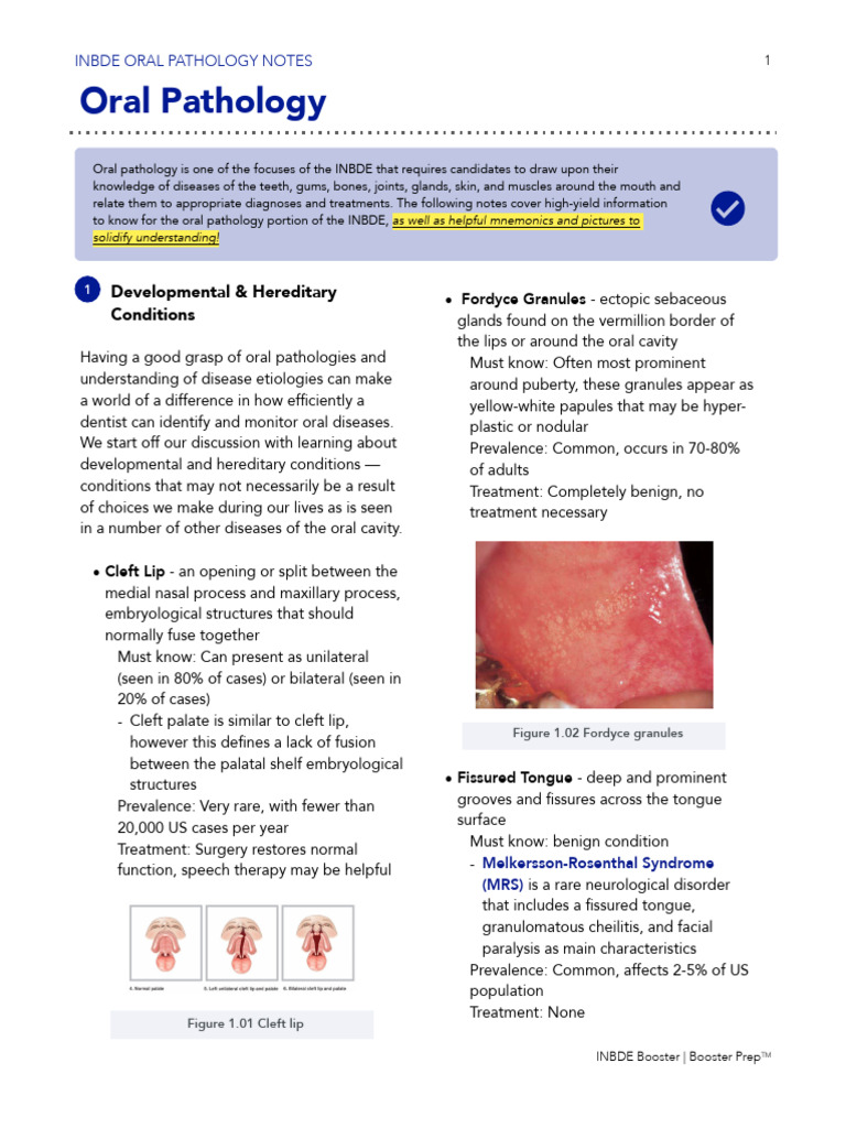 Inbdebooster Oral Pathology Pdf Human Tooth Clinical Medicine