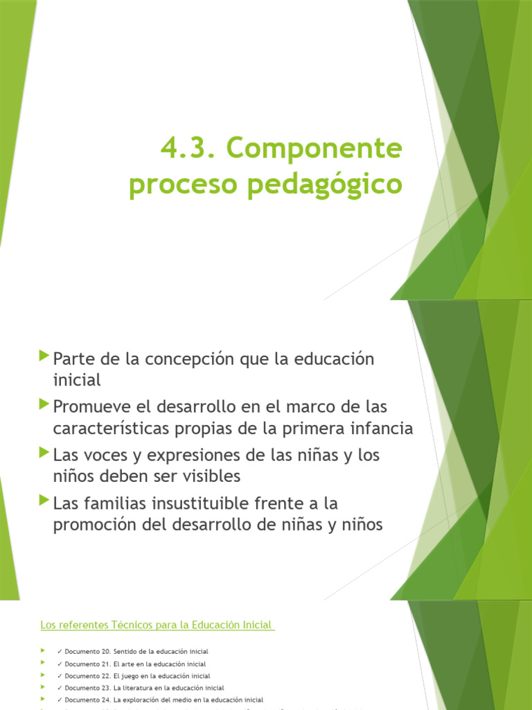 Componente Proyecto Pedagogico | PDF | Educación de la primera infancia ...