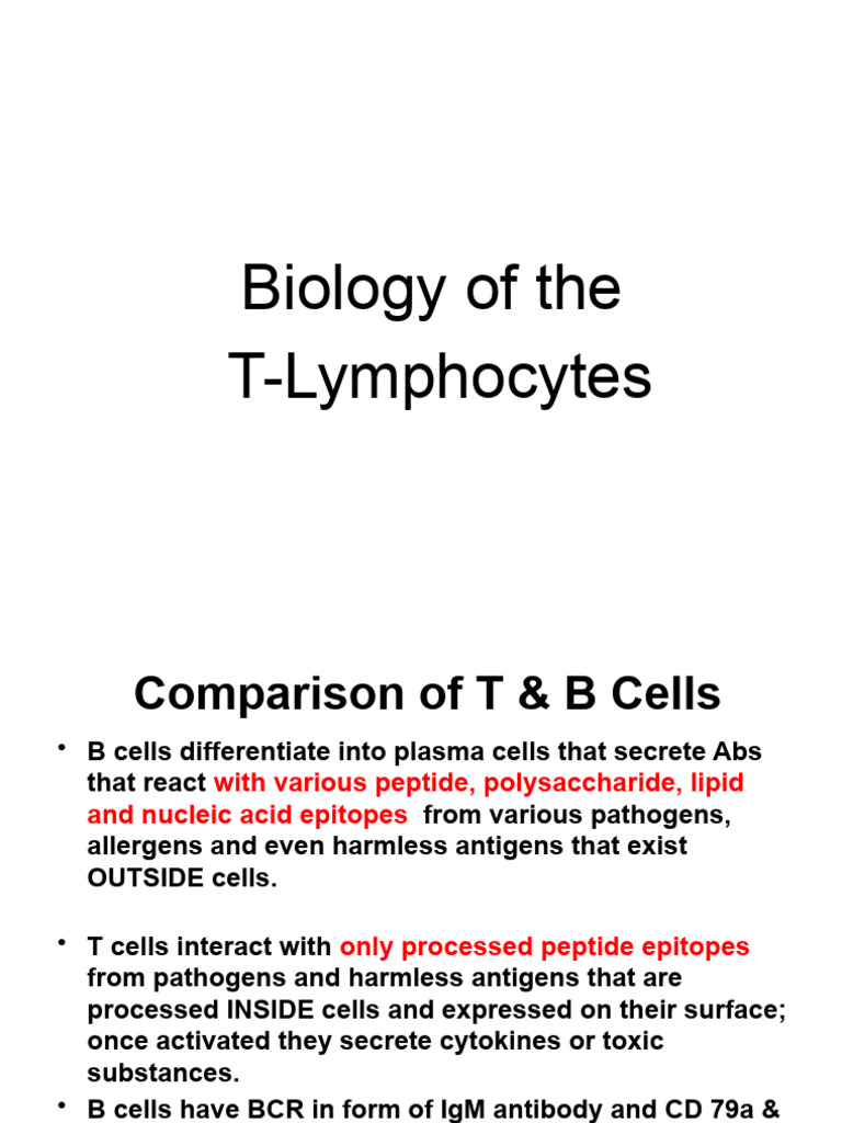Biology of T Cells | PDF | T Cell | T Helper Cell