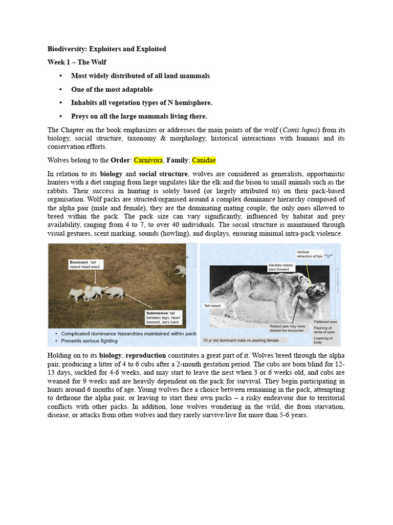 Exploiters & Exploited W1 - Wolves | PDF | Pack (Canine) | Dogs