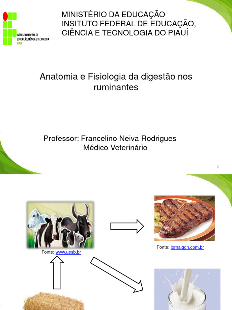 Digestão em Ruminantes: Anatomia e Fisiologia | PDF | Ruminante | Digestão