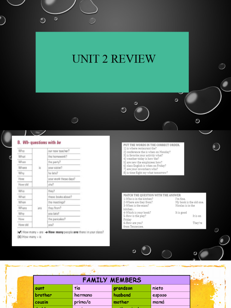 English Question Formation Practice | PDF | Language Arts & Discipline