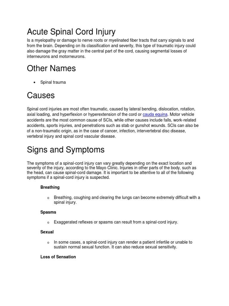 Understanding Acute Spinal Cord Injury | PDF