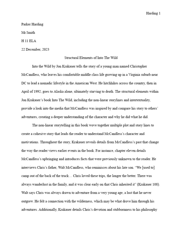 Analyzing Structure in Into The Wild | PDF
