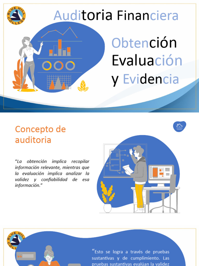 Obtención Y Evaluación De Auditoria Financiera Descargar Gratis Pdf