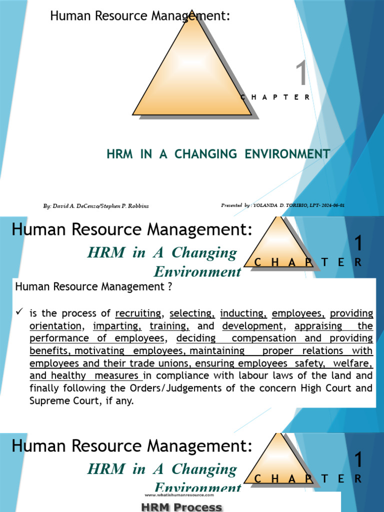HRM Strategies in Evolving Environments | PDF | Human Resource ...