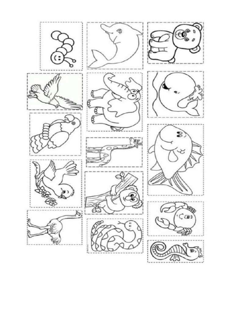 Animales | PDF
