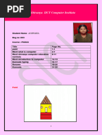PDF Document