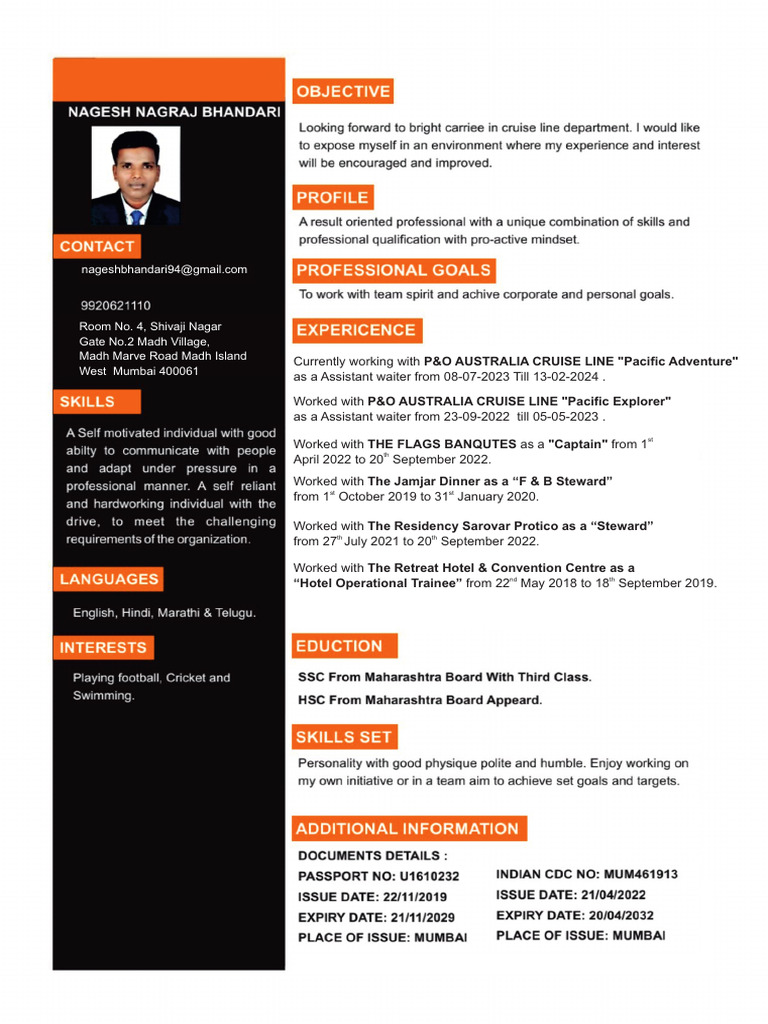 NB Updated CV | PDF