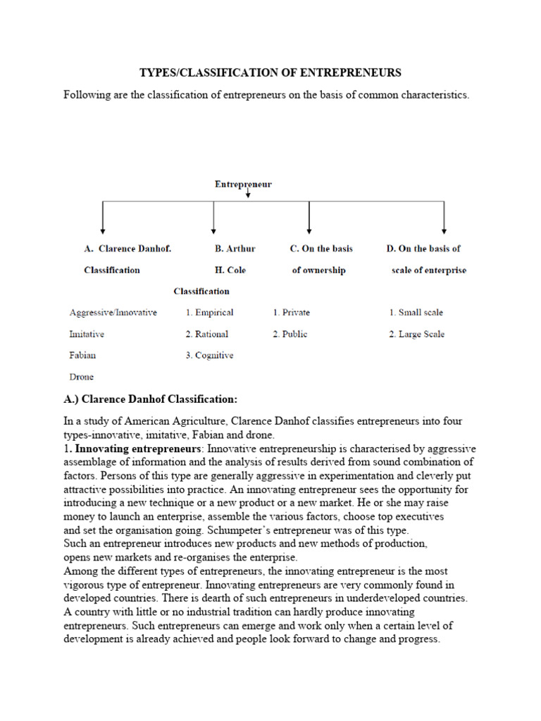 Types Of Entrepreneurs Download Free Pdf Entrepreneurship Marketing