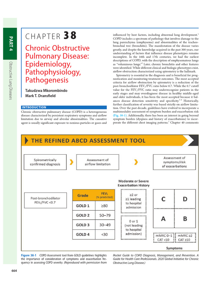 Chapter 38 | PDF | Chronic Obstructive Pulmonary Disease | Respiratory ...