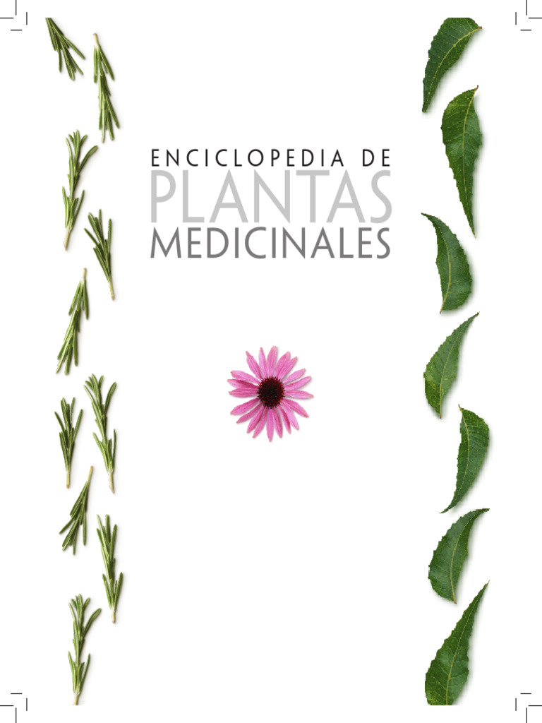 Plantas medicinales 1 53 pdf plantas medicinales sistema