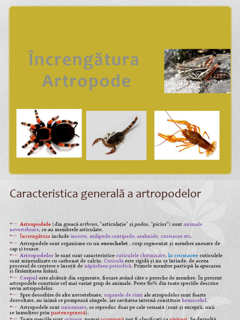 Increngatura Artropode | PDF