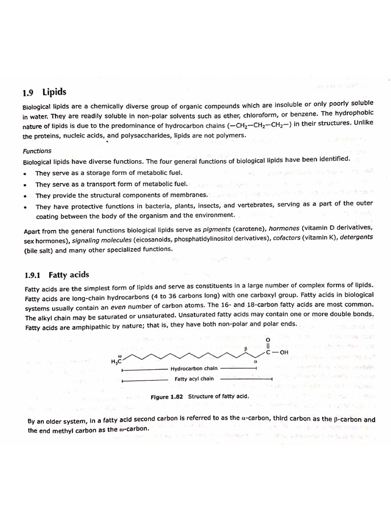 Fatty Acids Notes | PDF