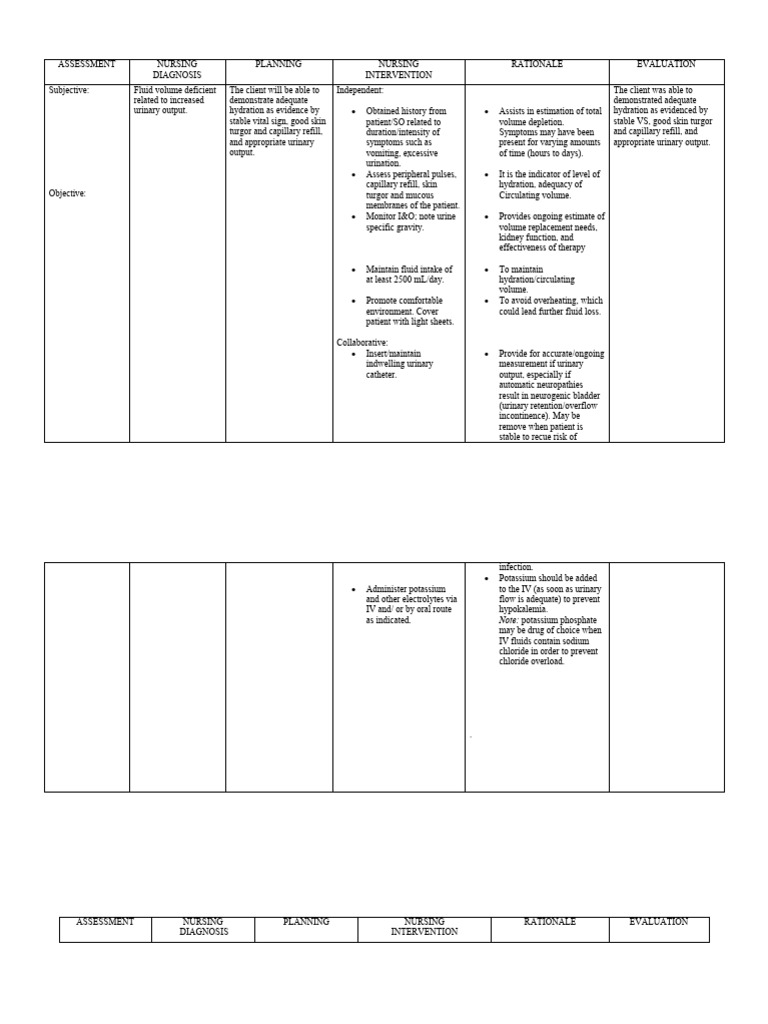 Nursing Care Plan for Fluid and Skin Integrity | PDF | Urinary System ...