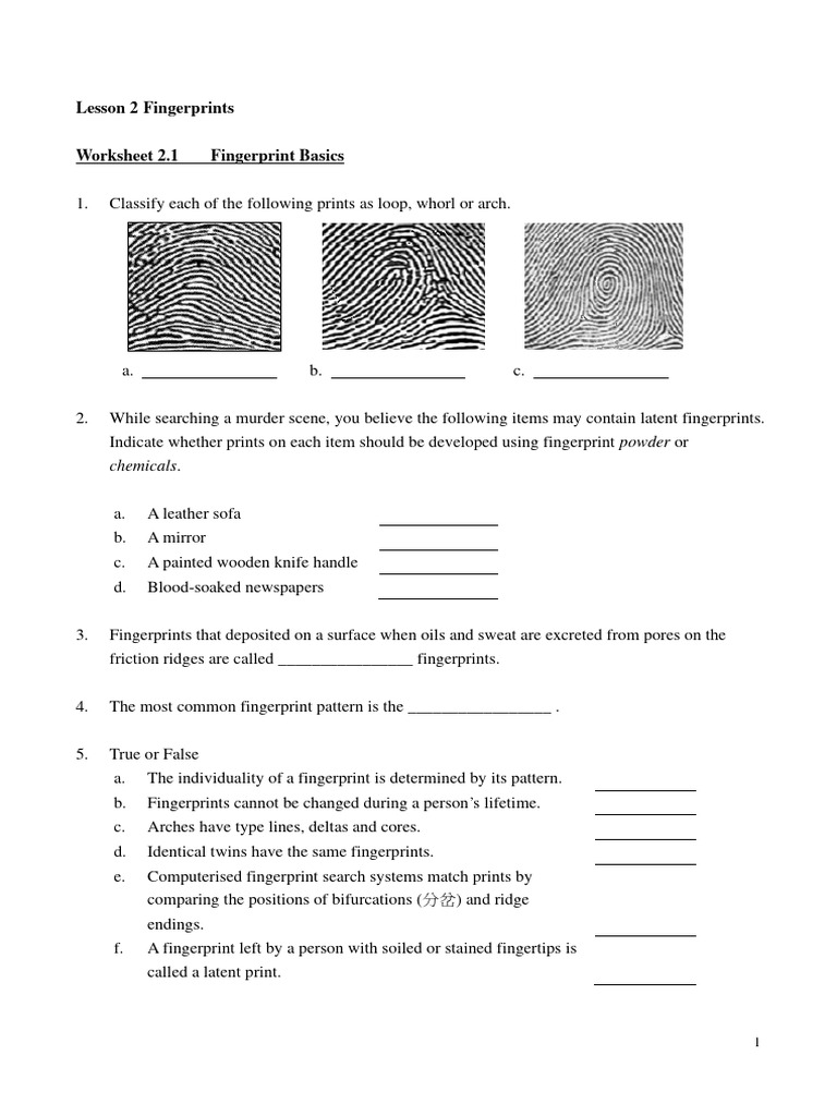 Fingerprint Analysis and Identification Worksheet | PDF | Fingerprint