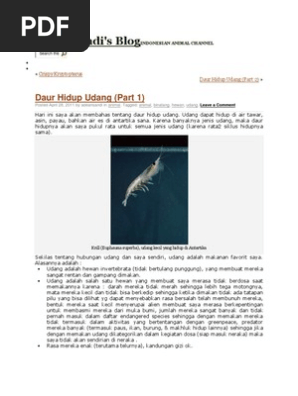 Daur Hidup Udang