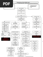 DM Type 2 Pathophysiology