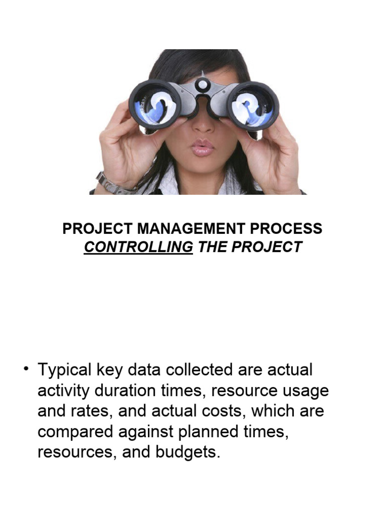 Project Management Control Techniques | PDF | Project Management
