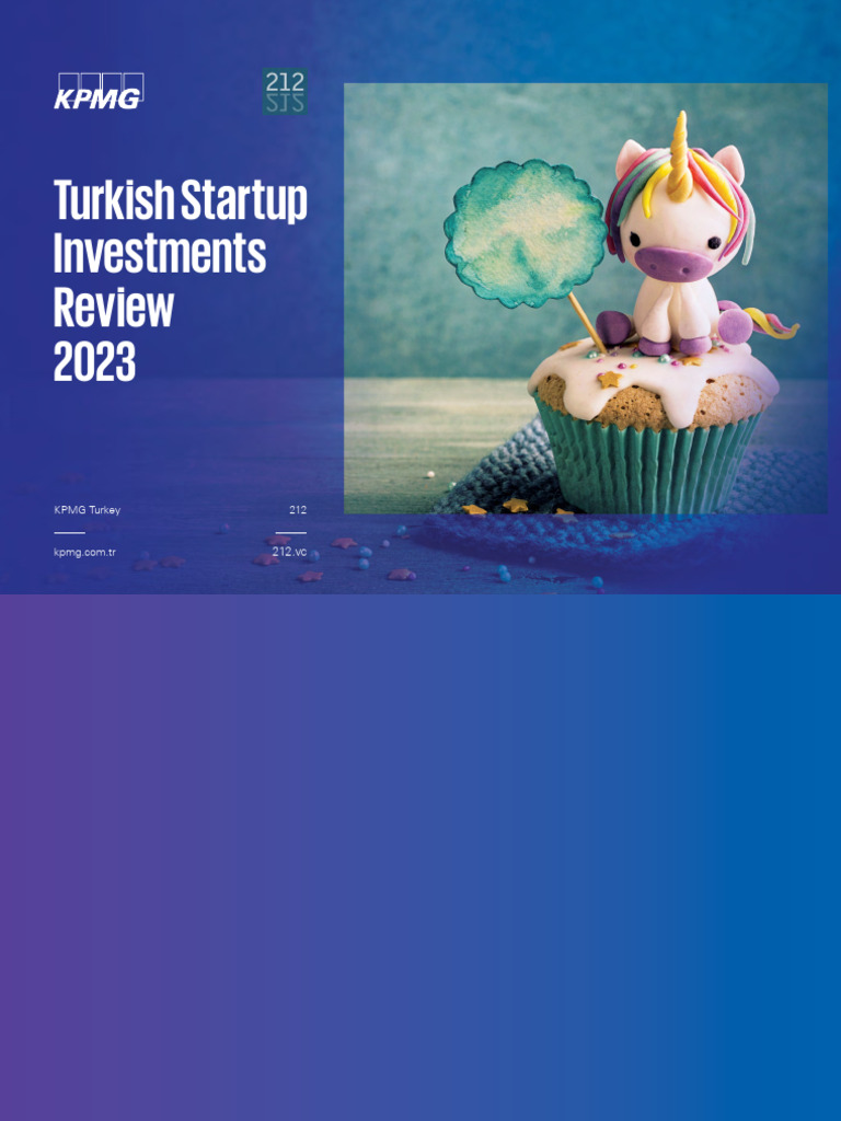 Turkish Startup Investments 2023 | PDF | Startup Company | Small Business &  Entrepreneurs