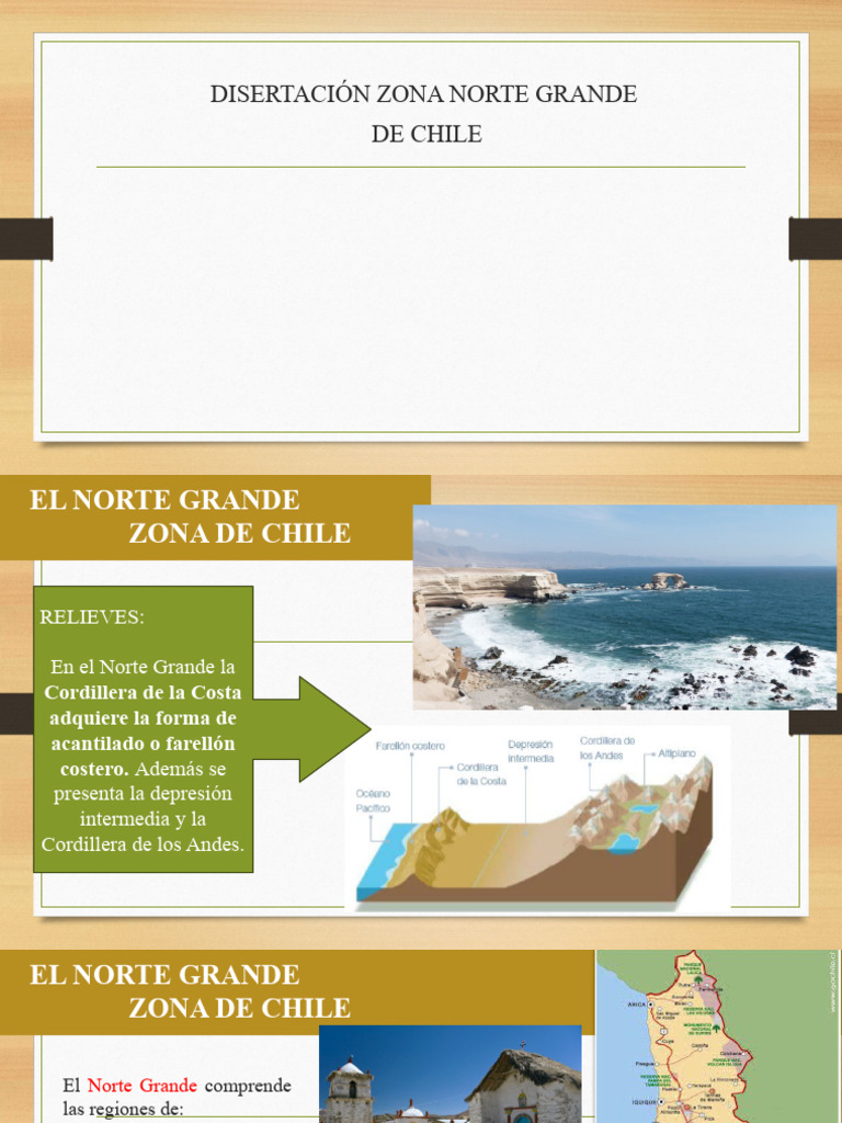 Relieve y economía del Norte Grande de Chile | PDF