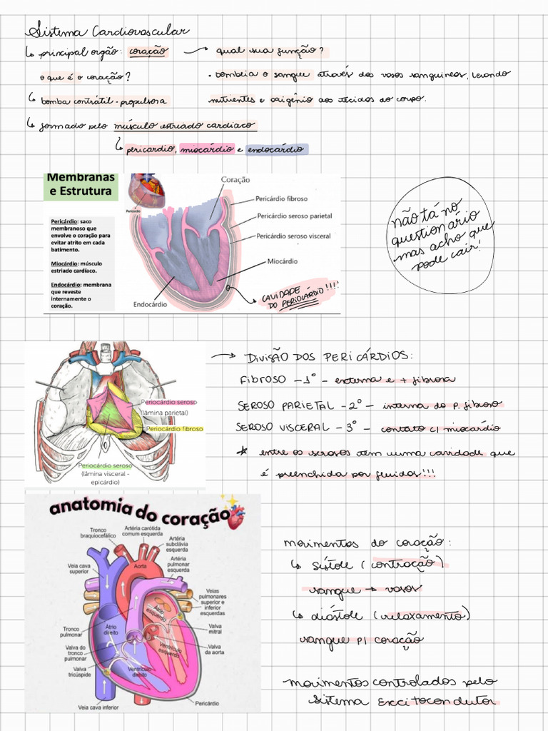 Resumo Sistema Cardiovascular | PDF