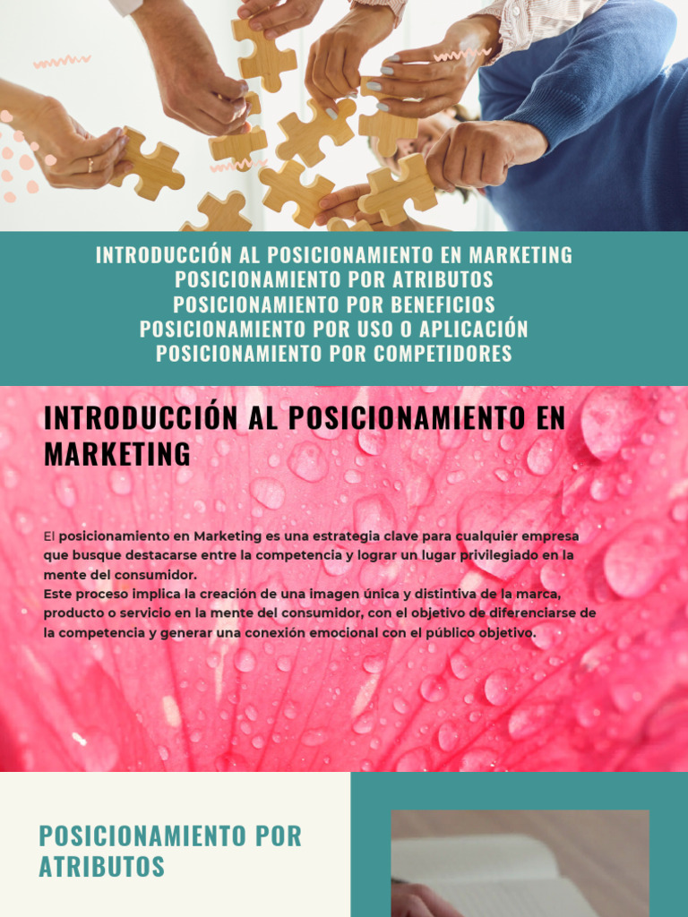Estrategias de Posicionamiento en Marketing | PDF | Marketing | Marca