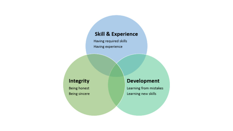 Skills and Experience Development Guide | PDF | Business | Self-Improvement