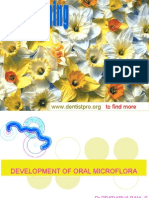 Development of Oral Micro Flora