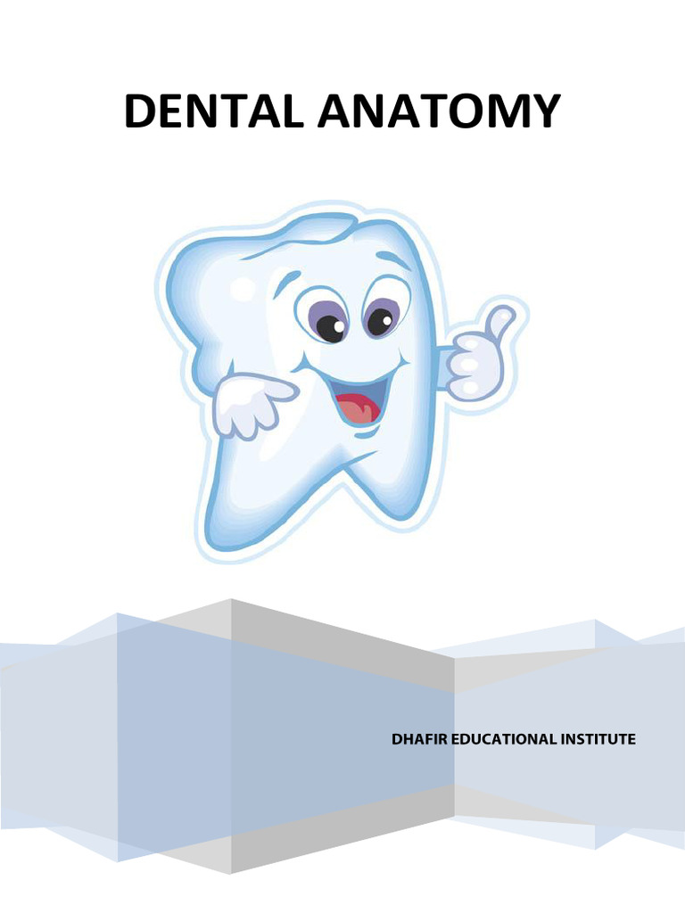Dental Anatomy Book Pdf Dental Anatomy Tooth