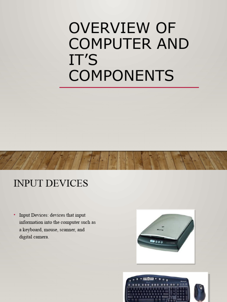 Basic Computer Hardware and Software | PDF | Computer Data Storage ...