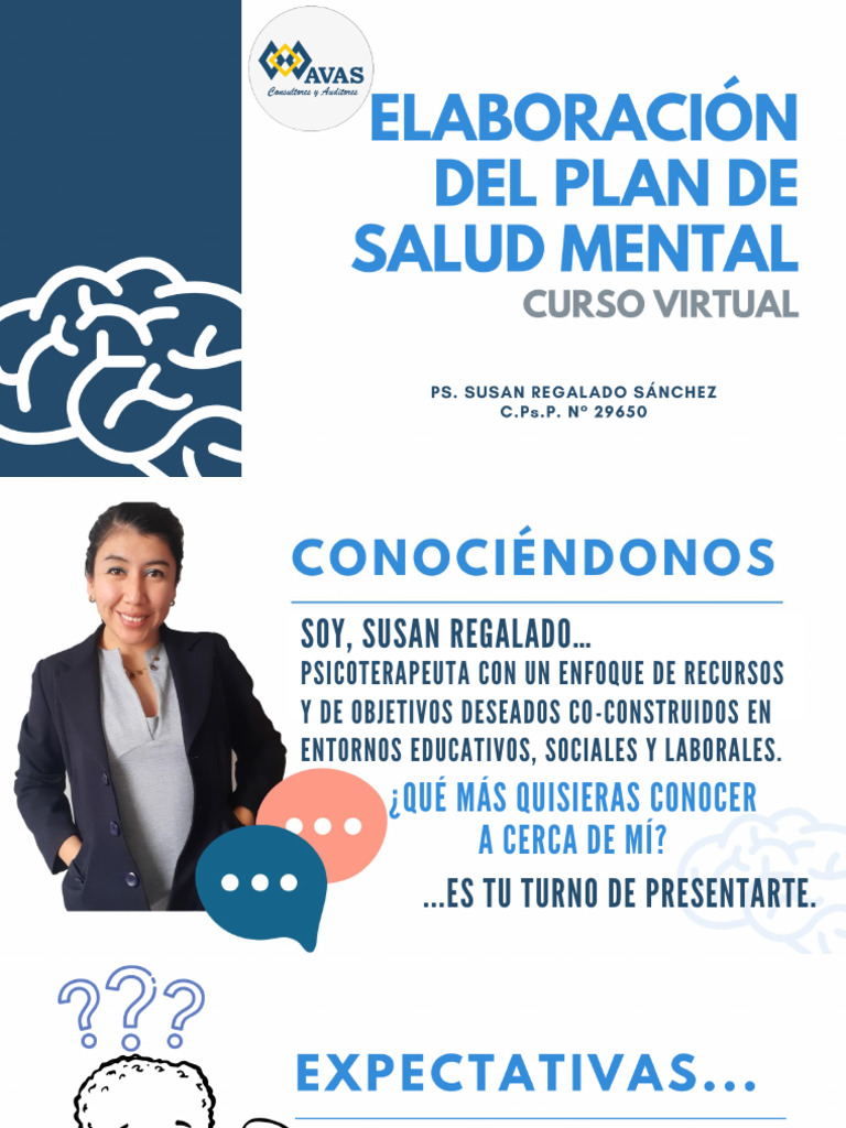 Curso Elaboración Del Plan de Salud Mental | PDF | Salud mental | Sicología