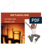 Metabolism