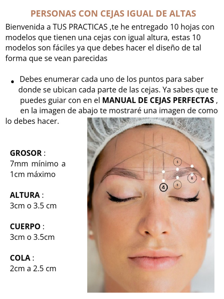 Práctica de Diseño de Cejas para Rostros | PDF