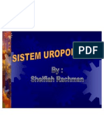 Sistem Uropoetica