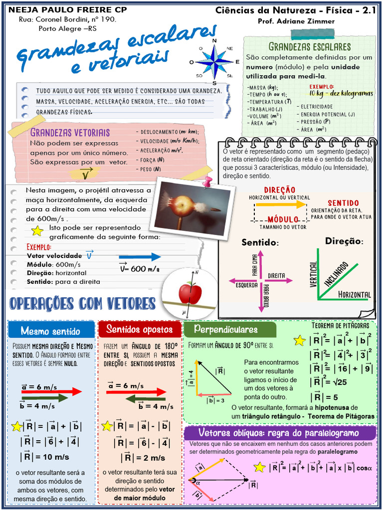Grandezas Escalares e Vetoriais | PDF | Vetor euclidiano | Geometria