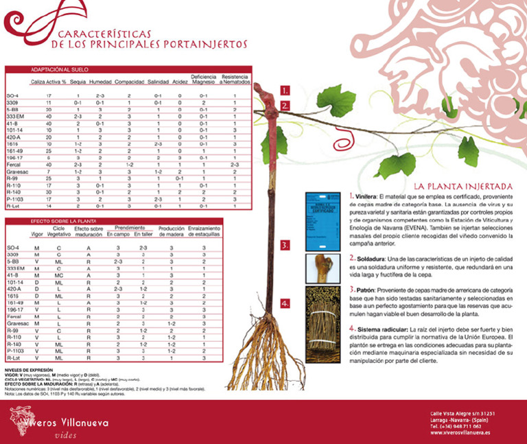 Características de Portainjertos | PDF