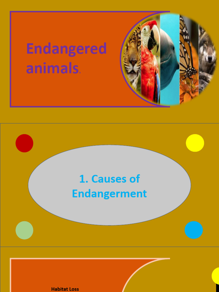 exposicion-ingles-download-free-pdf-conservation-biology-habitat