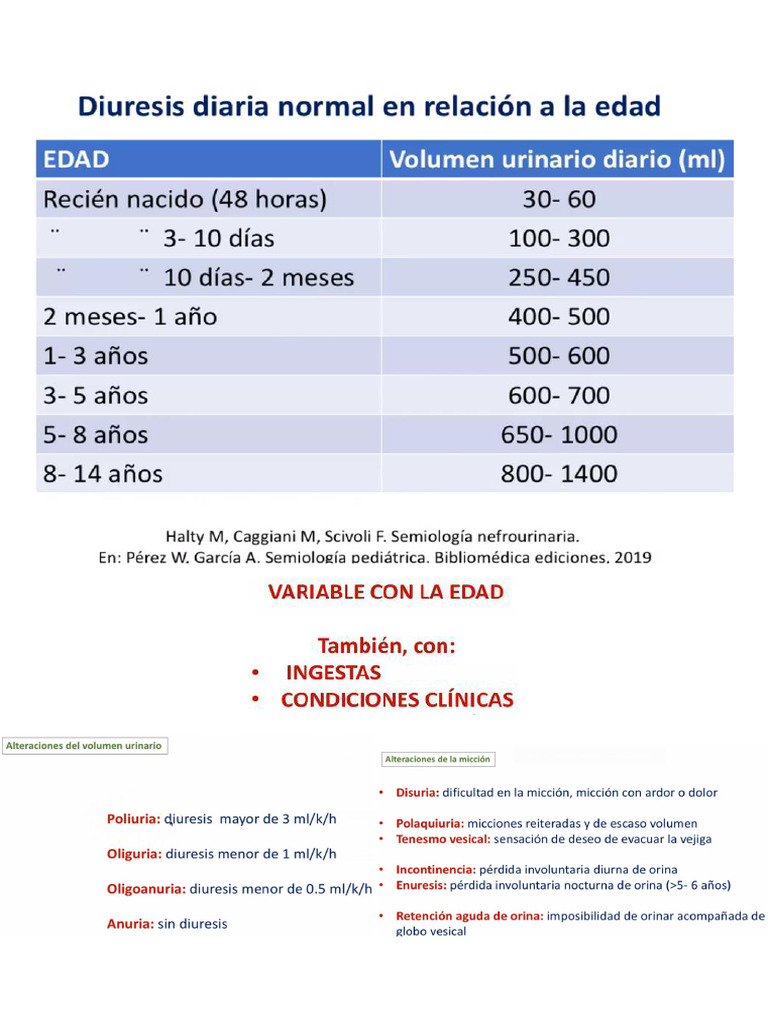 Renal | PDF