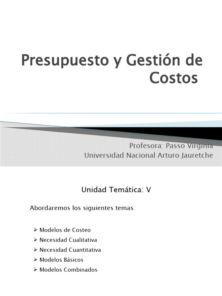 Presupuesto y Gestión de Costos MODELOS | Descargar gratis PDF ...