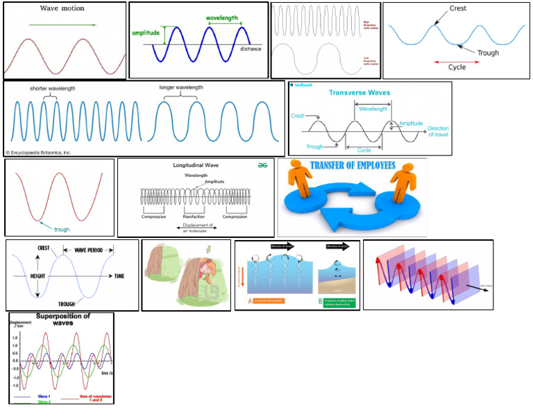 Science Copies | PDF