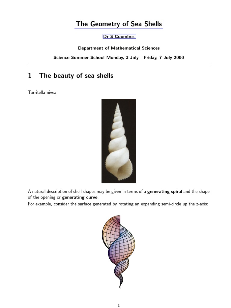 Geometry of She A Shells PDF Coordinate System Sine