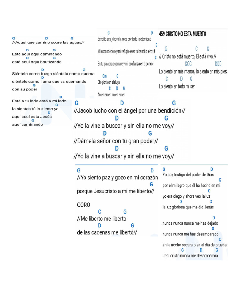 Cadena De Coritos A Pdf