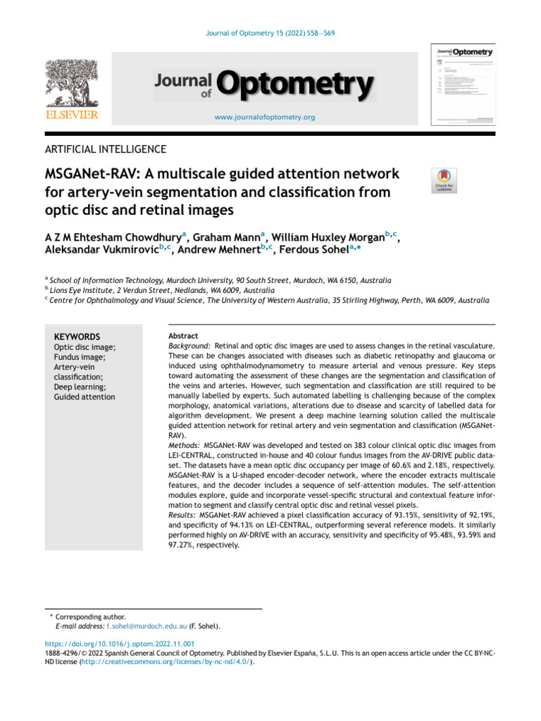 AI Network for Retinal Image Analysis | PDF | Retina | Image Segmentation