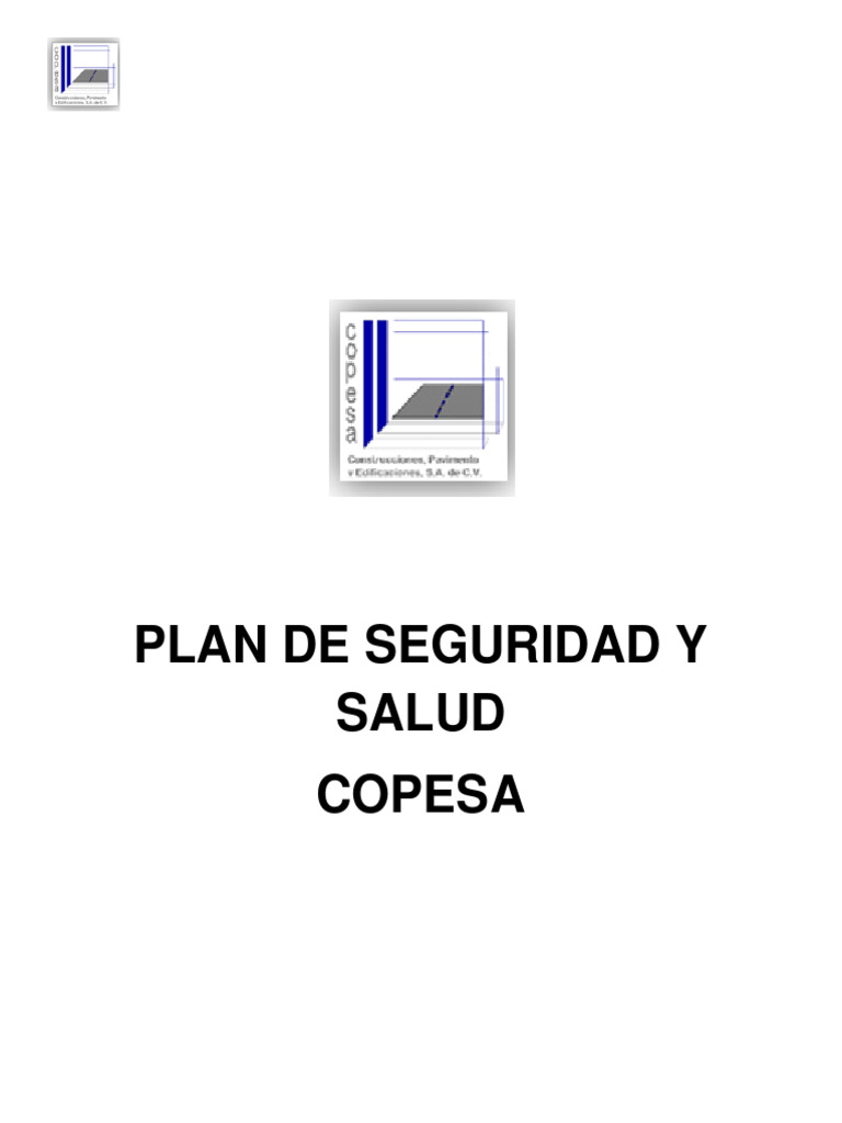 Plan de Seguridad y Salud COPESA | PDF | Escalera | Valores