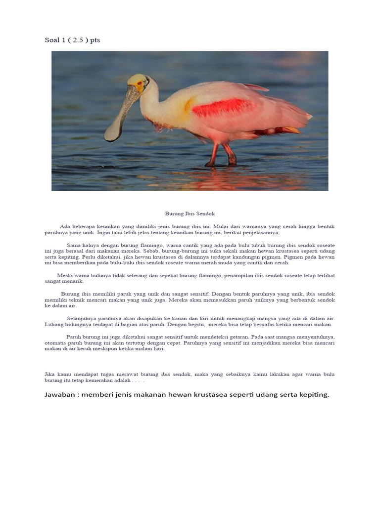 Mengupas Tuntas Soal Berhitung UKD Kelas 3 2019 Surabaya: Analisis Mendalam dan Strategi Pembelajaran